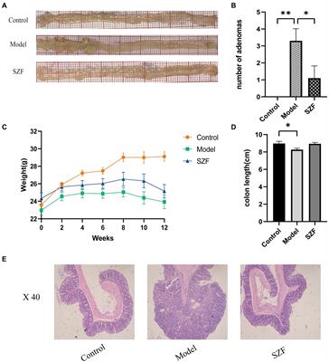 Exploring the mechanism of action of Sanzi formula in intervening colorectal adenoma by targeting intestinal flora and intestinal metabolism